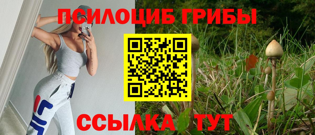 Псилоцибиновые грибы Psilocybine cubensis  даркнет сайт  Зеленодольск  Вход с VPN 